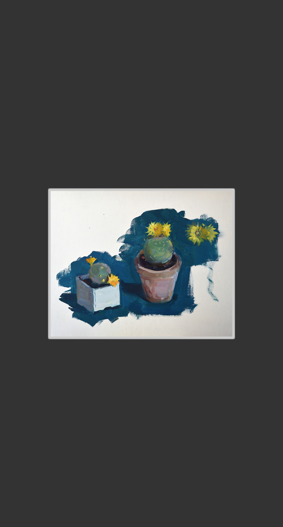 Blooming cacti30 x 45 cm, Oil on Treated Cardboard, 1965-1975