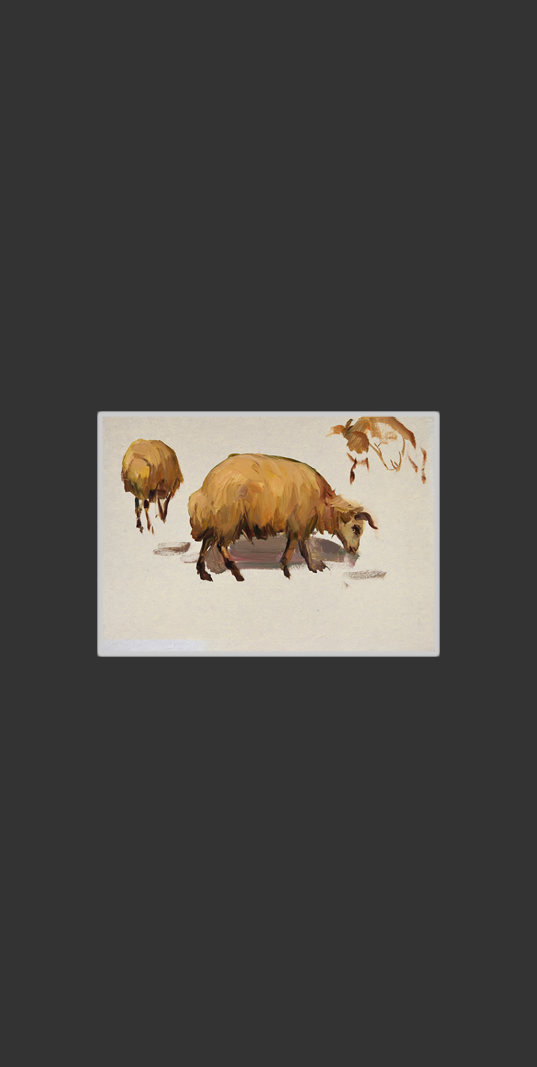 Sketch of sheep24 х 33 cm, Oil on Treated Cardboard, 1949-1950